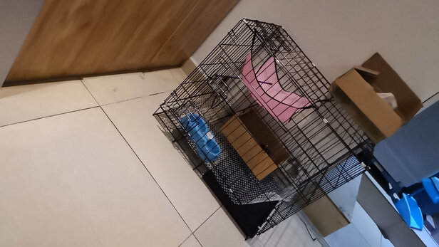  猫笼