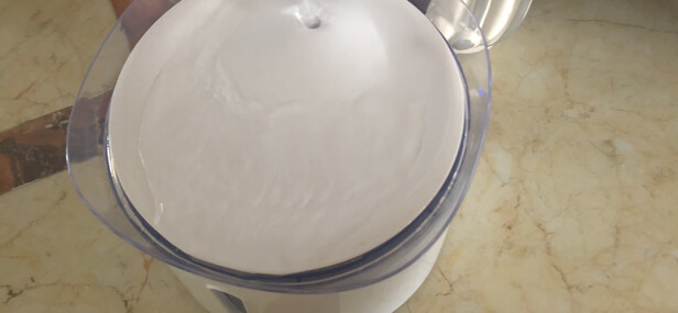 宠物饮水机