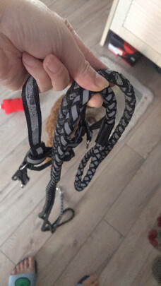 狗狗牵引绳