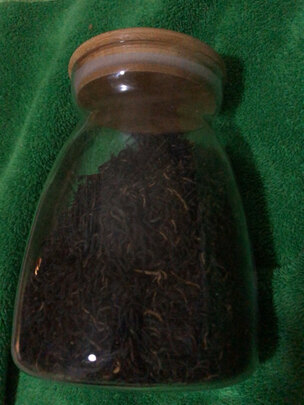 金骏眉红茶