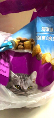 猫粮