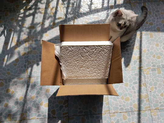 豆腐猫砂