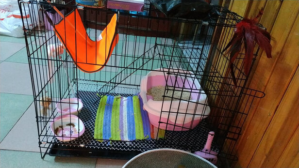 猫笼