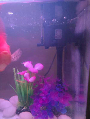 鱼缸水泵