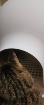 猫砂盆