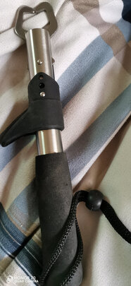控鱼器
