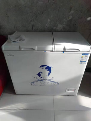 冰箱|客观评价澳柯玛BCD-211CNE怎么样？上手三周说真相