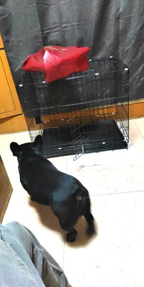  猫笼