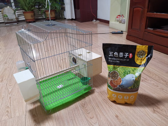 鸟笼