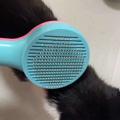 猫狗梳子