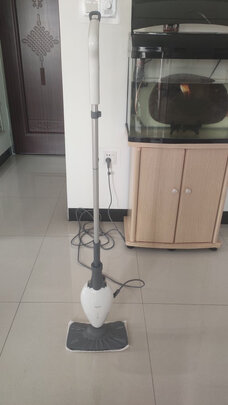 德尔玛ZQ100蒸汽拖把|参考剖析德尔玛ZQ100蒸汽拖把怎么样?深度测评剖析