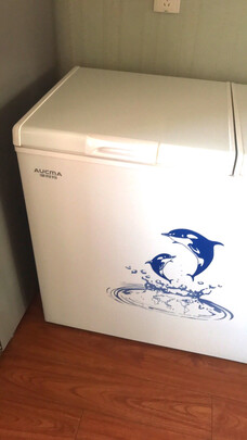 容声冰箱BCD-529WD11HP真实使用感受,不看后悔