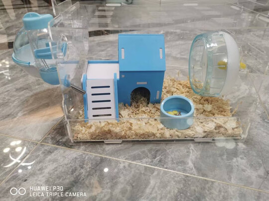 仓鼠水壶