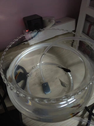 鱼缸氧气泵