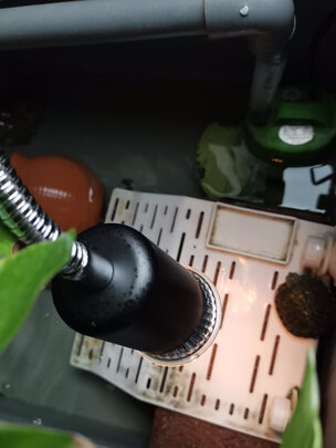 乌龟晒背灯泡