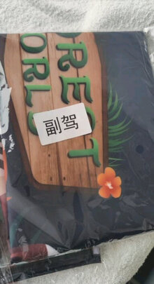 汽车窗帘
