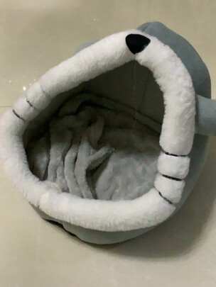 猫窝
