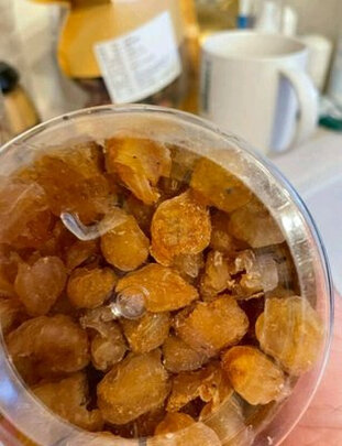 红枣