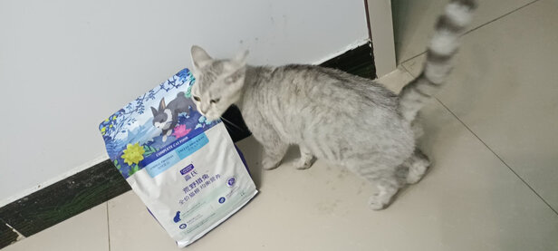 猫粮