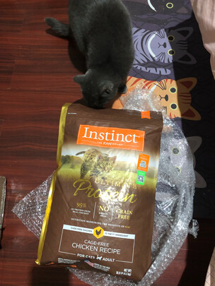 猫粮