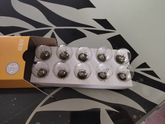 汽车灯泡