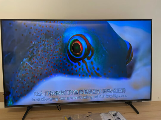 三星（SAMSUNG）55英寸QX2 超薄全面屏 4K超高清HDR 120Hz 智能补帧QLED量子点HDMI2.1游戏电视QA55QX2AAJXXZ