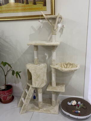 猫爬架