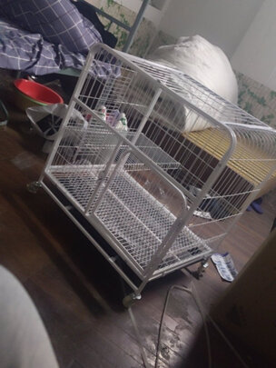  猫笼