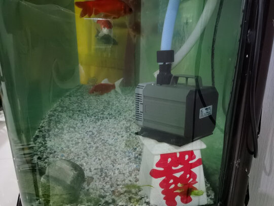鱼缸水泵