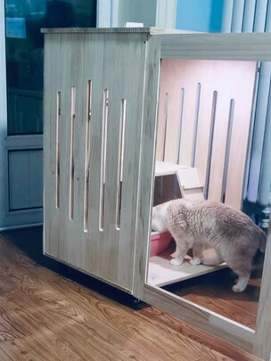  猫笼