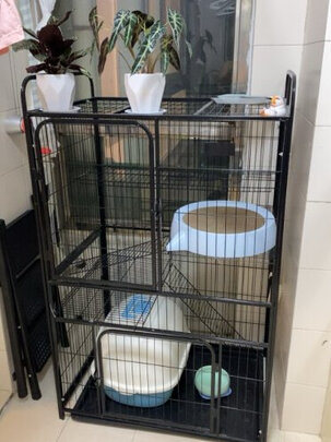 猫笼