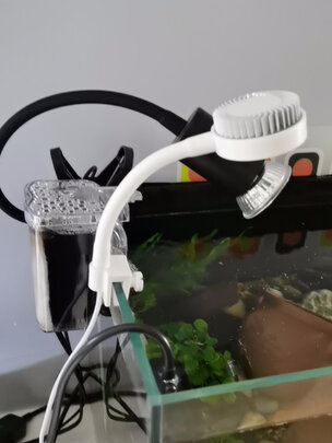 鱼缸水草灯