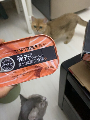 猫粮罐头