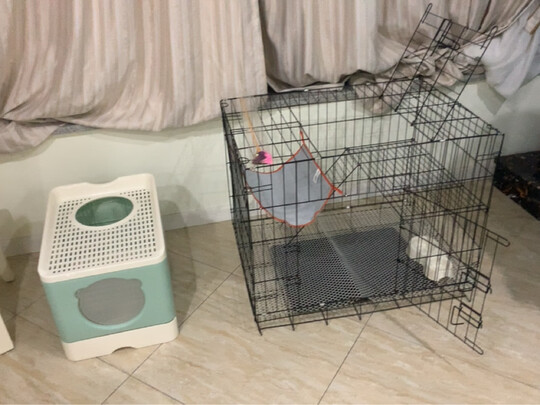  猫笼