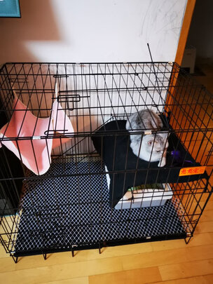  猫笼