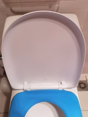 马桶盖