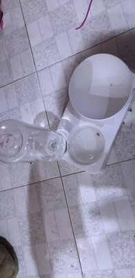 宠物饮水机