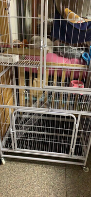  猫笼