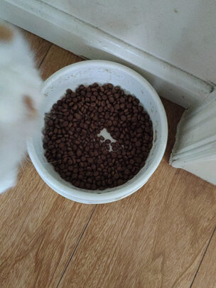 猫粮