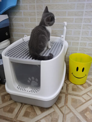 猫砂盆