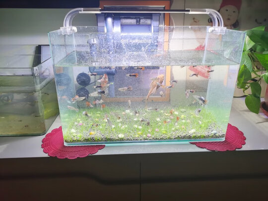 鱼缸灯led灯