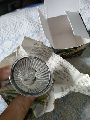 乌龟晒背灯泡