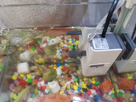 鱼缸潜水泵