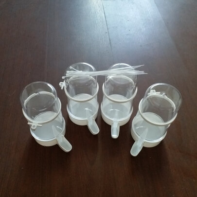 自动喂食器