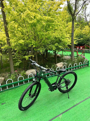 电动自行车