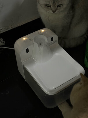 宠物饮水机