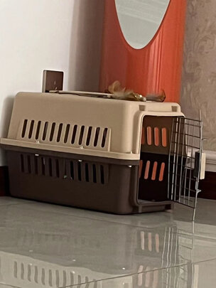 猫包