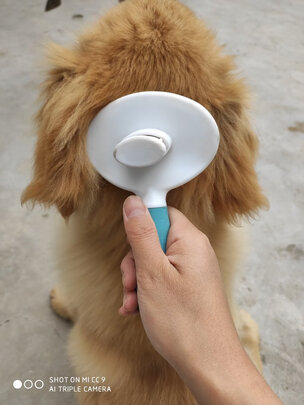 猫狗梳子