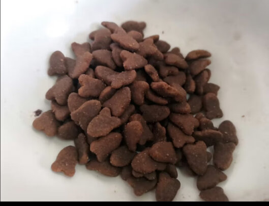 猫粮