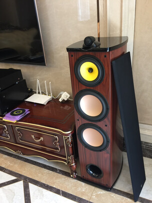 %title插图%num 惠威(HiVi)Diva6.1 F 双8英寸前置主音箱 发烧级HIFI家庭影院落地音箱 功放音响套装 Diva6.1F+AD-3PRO